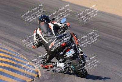 media/Nov-12-2023-SoCal Trackdays (Sun) [[5d1fba4e7d]]/Turn 10 Backside (115pm)/